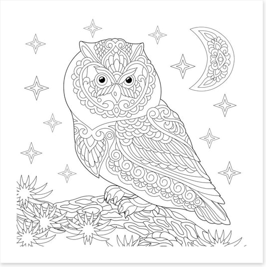 Colour me night owl