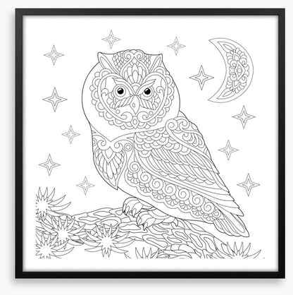 Colour me night owl