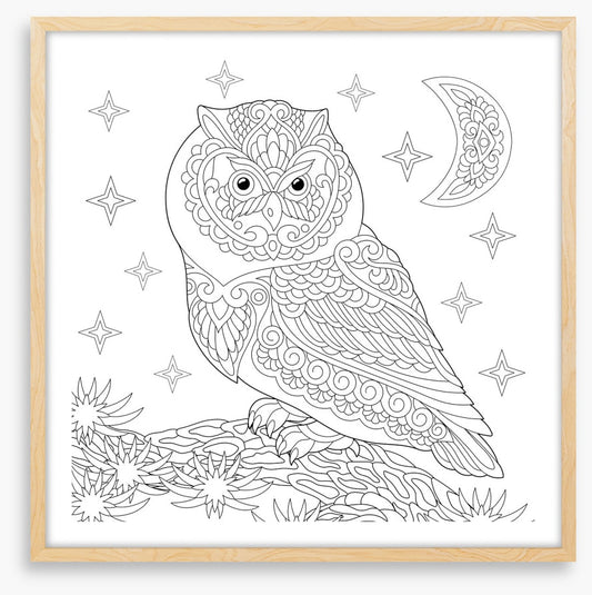 Colour me night owl