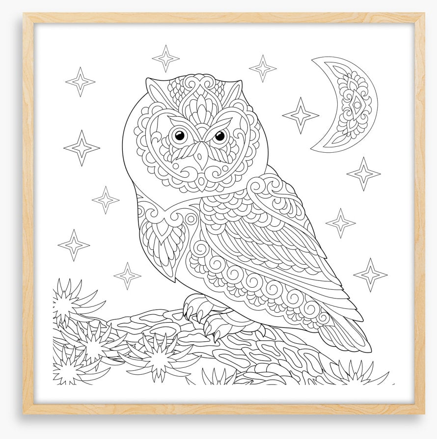 Colour me night owl