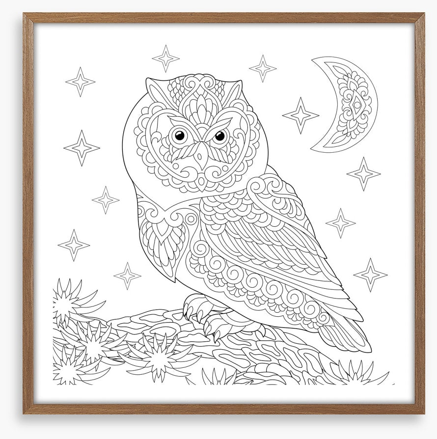 Colour me night owl