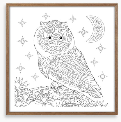 Colour me night owl