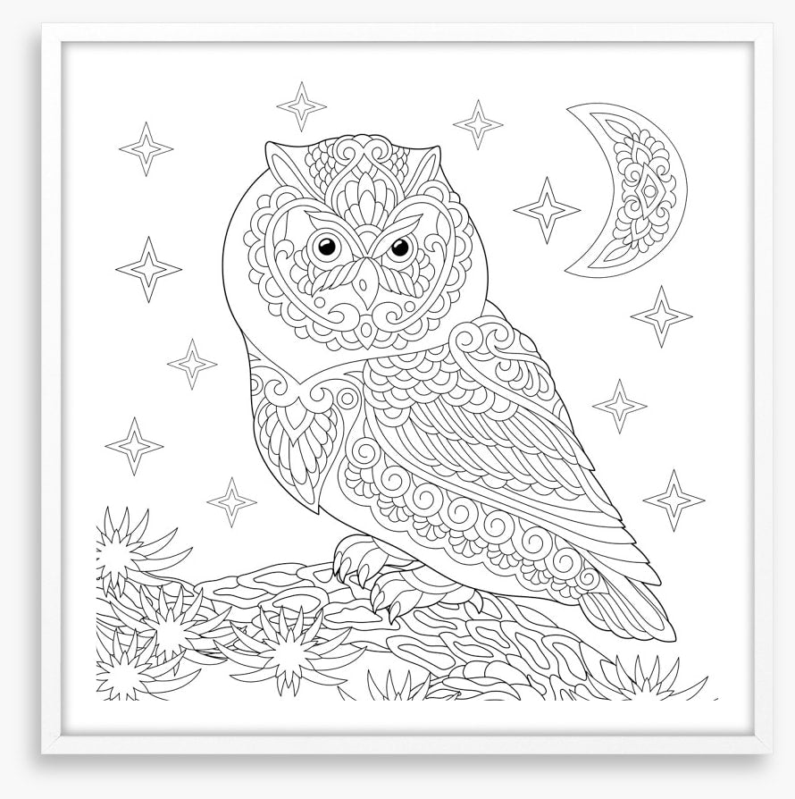Colour me night owl