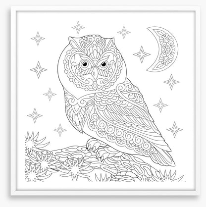 Colour me night owl