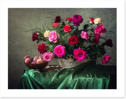 Garden rose grandeur