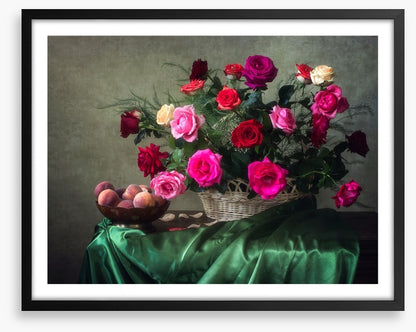 Garden rose grandeur