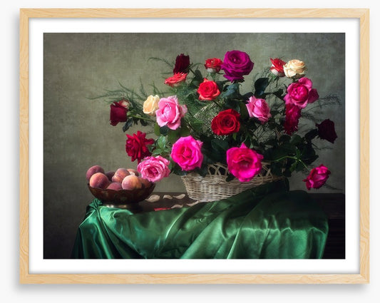 Garden rose grandeur