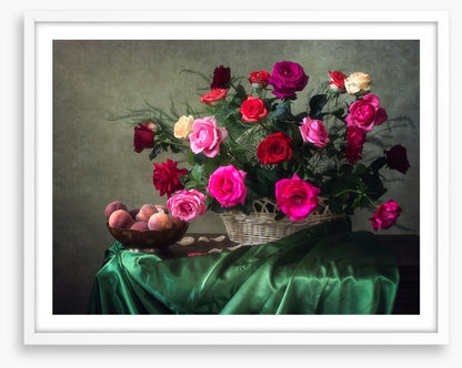 Garden rose grandeur