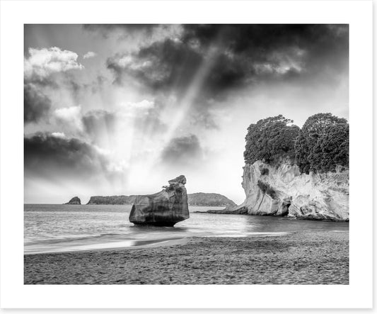 The Coromandel cove