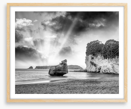 The Coromandel cove