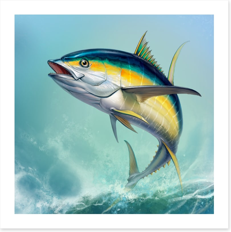 Yellow tuna jump