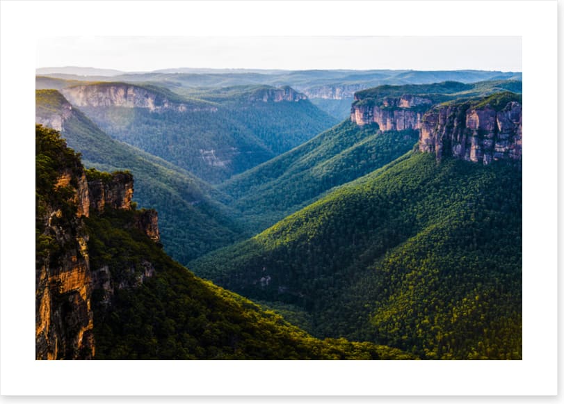 Grose Valley greens