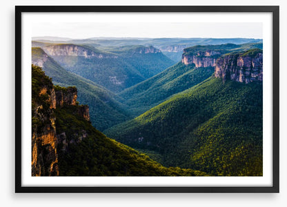 Grose Valley greens