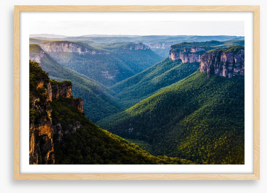 Grose Valley greens