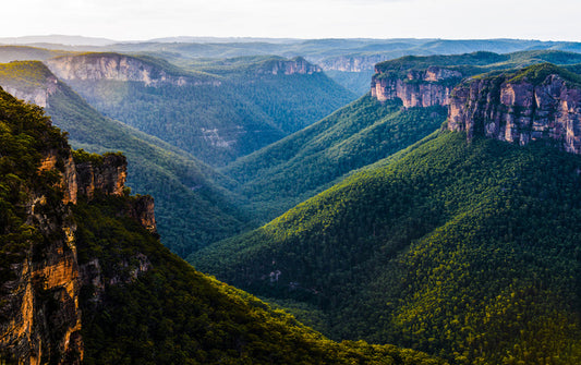 Grose Valley greens
