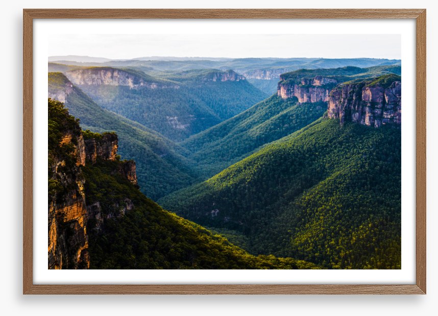 Grose Valley greens