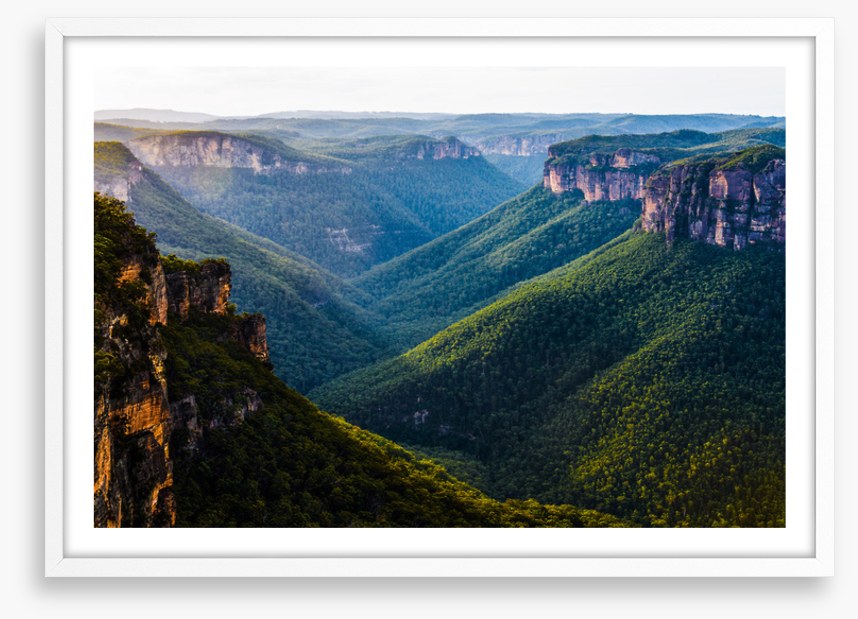Grose Valley greens