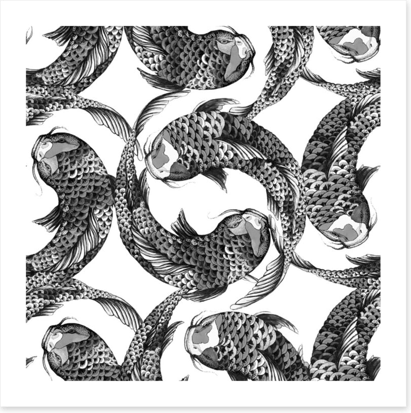 Feeling koi