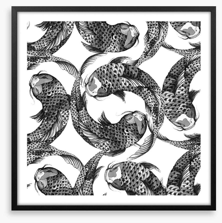 Feeling koi