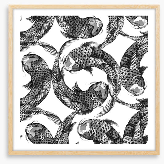 Feeling koi
