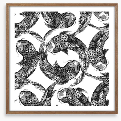 Feeling koi