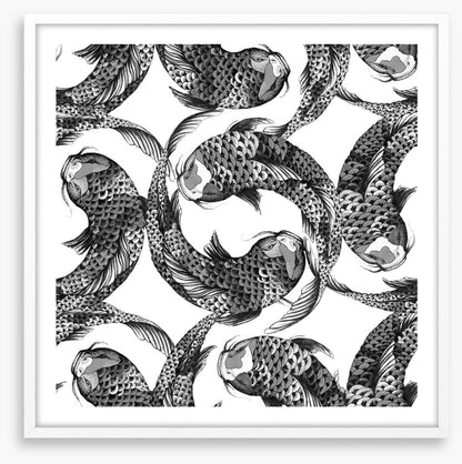 Feeling koi