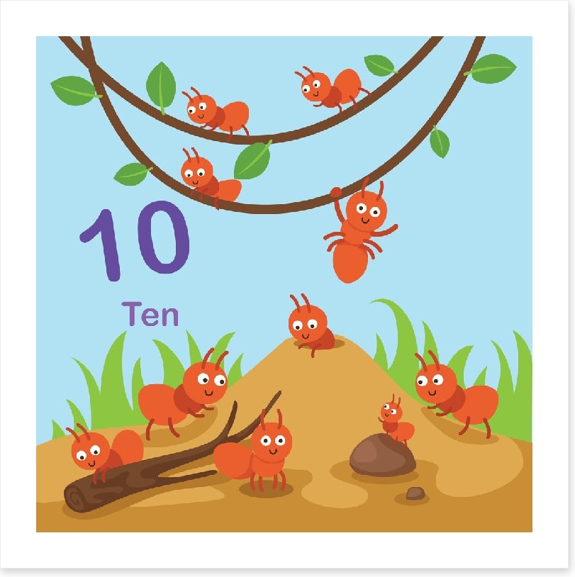 Alphabet and Numbers