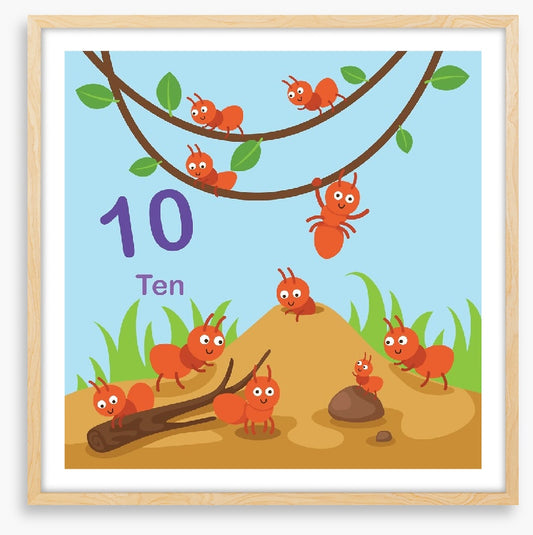Alphabet and Numbers