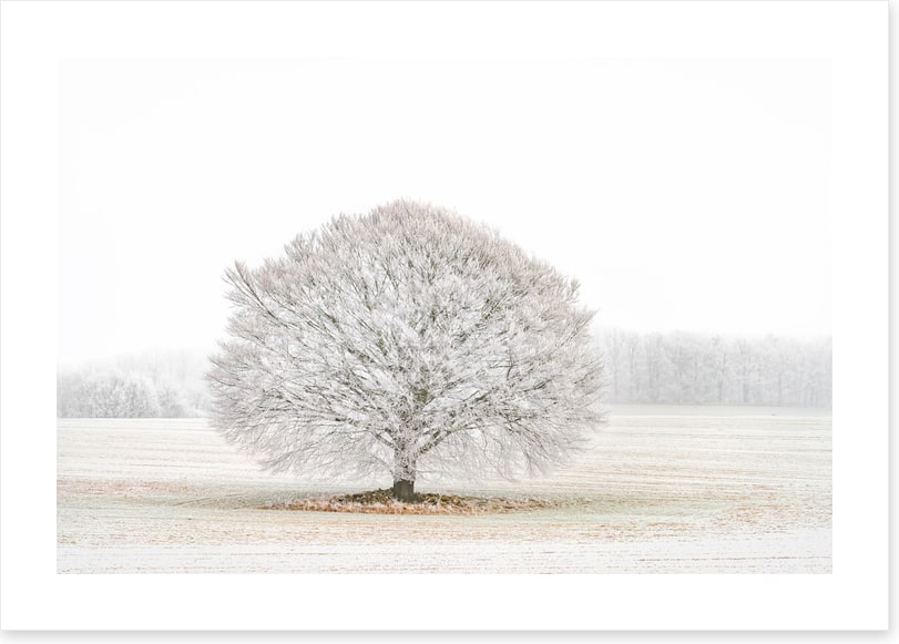 Solitude in the snow
