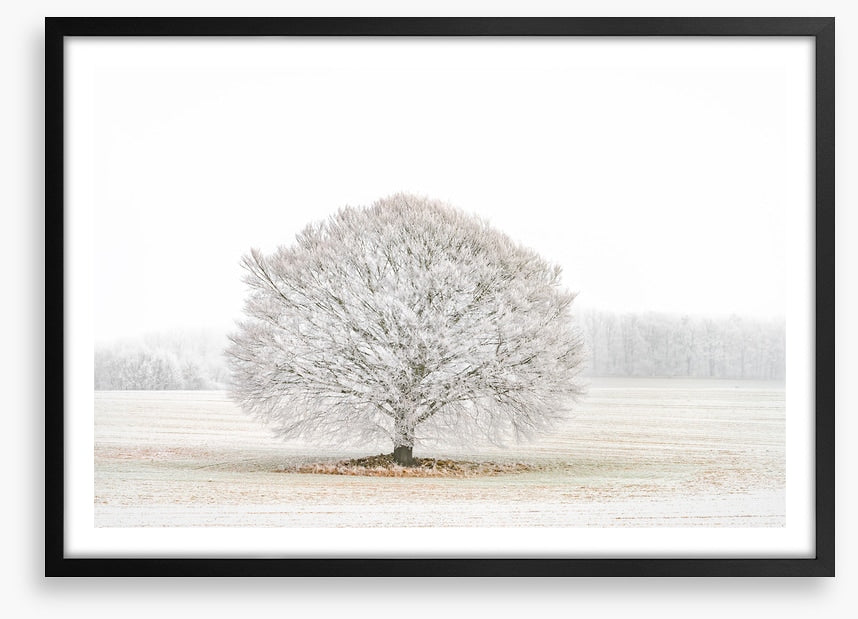 Solitude in the snow