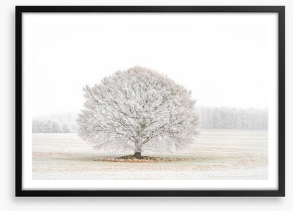 Solitude in the snow