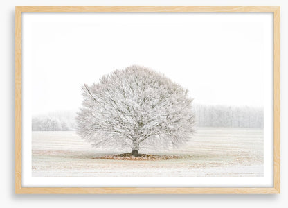 Solitude in the snow