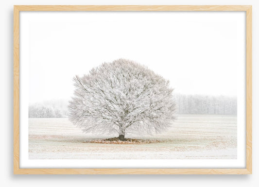 Solitude in the snow