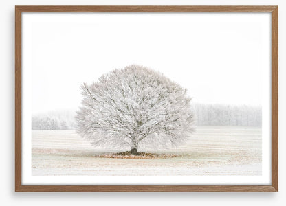 Solitude in the snow