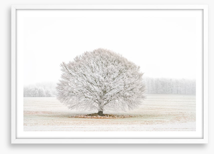 Solitude in the snow