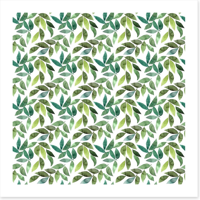 Leaf