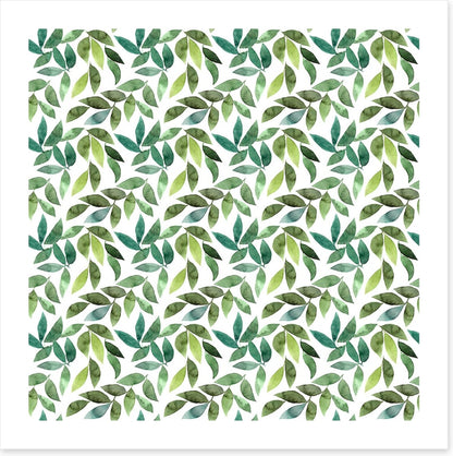 Leaf