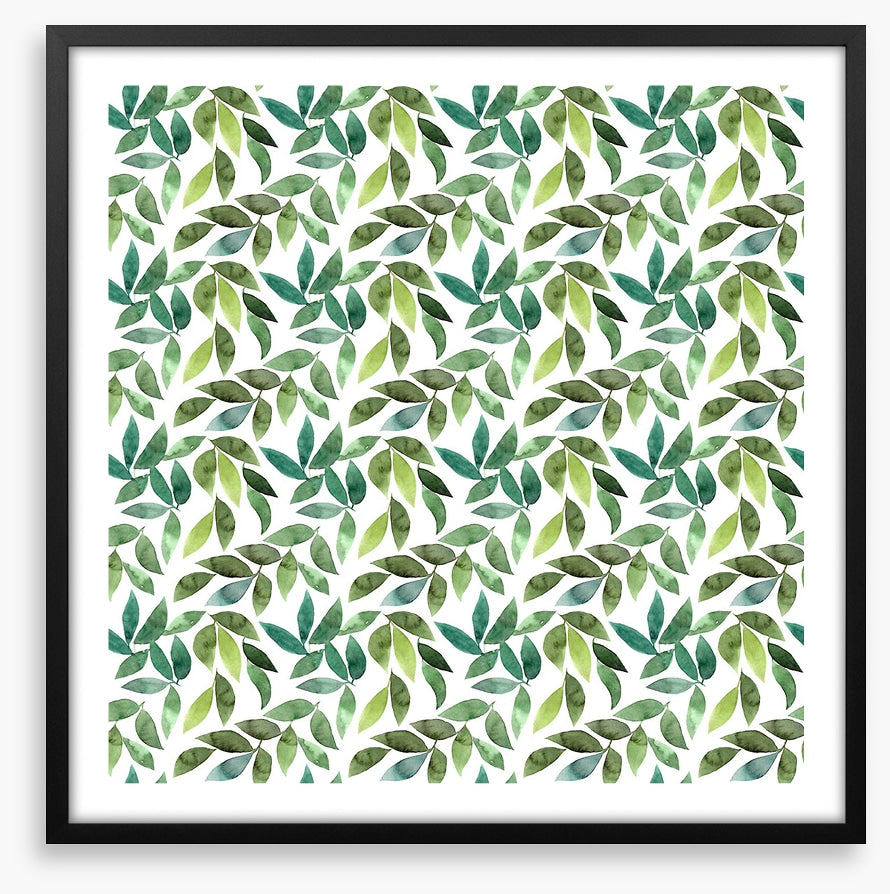 Leaf