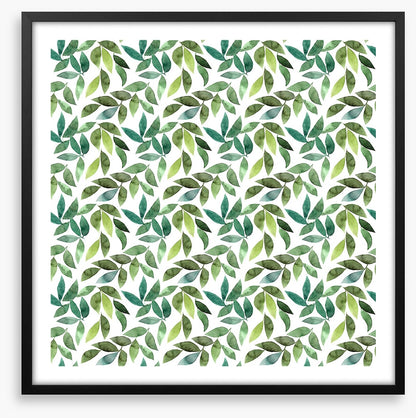 Leaf