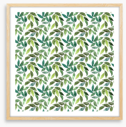Leaf