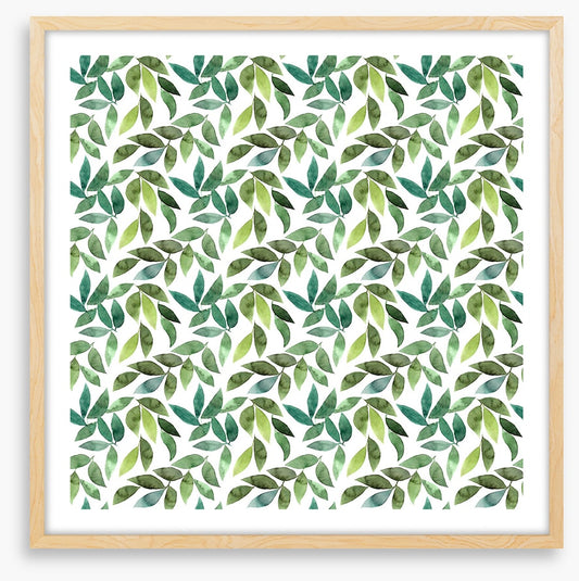 Leaf
