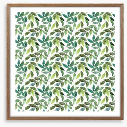 Leaf