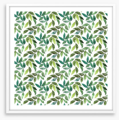Leaf