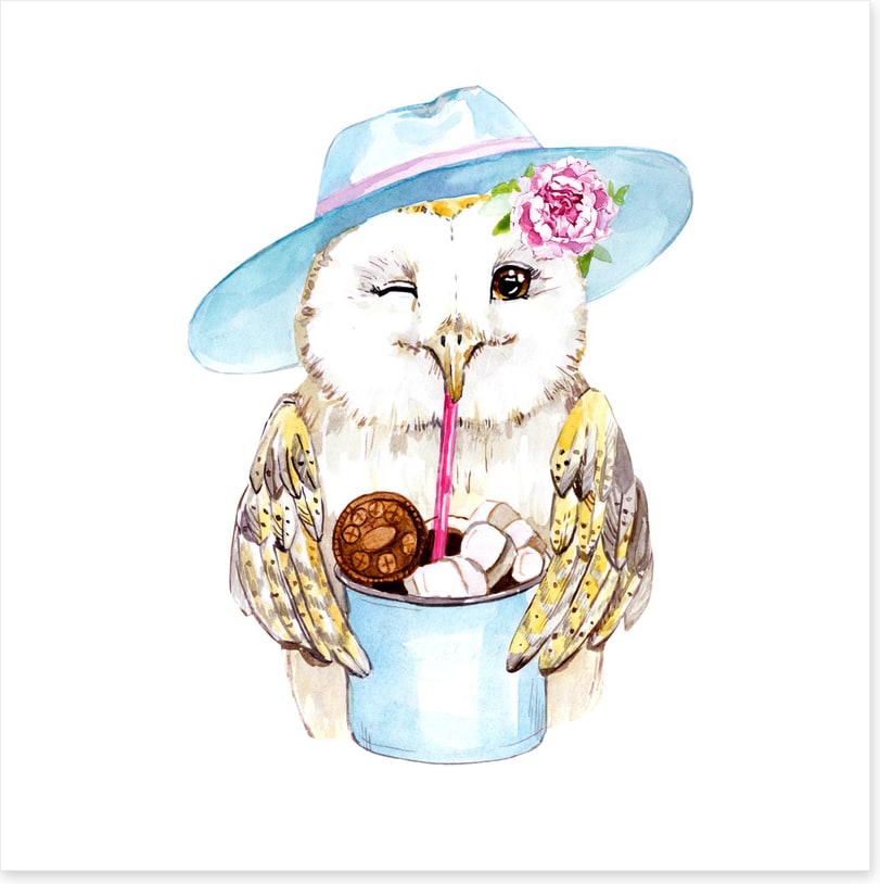 Owls