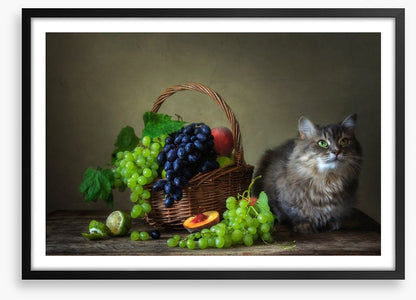 Still Life