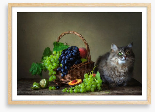 Still Life