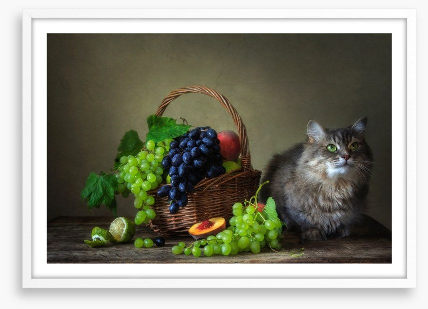 Still Life