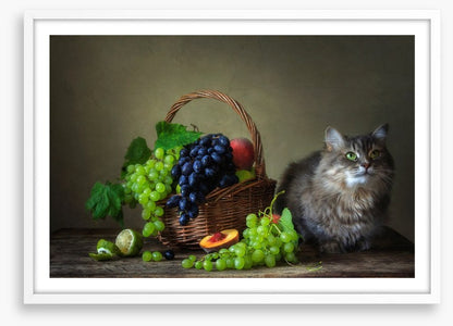 Still Life