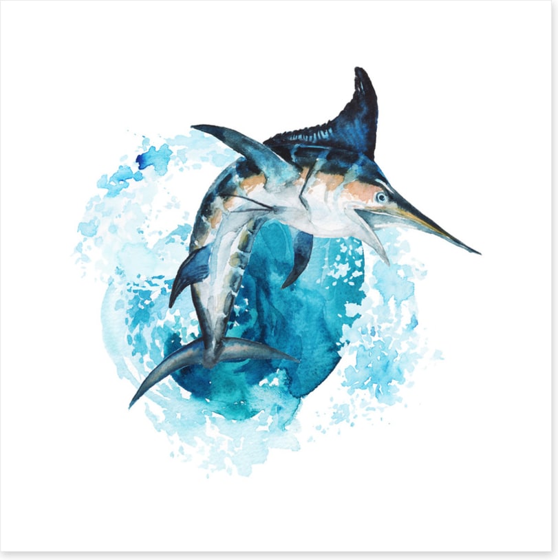 Swordfish splash