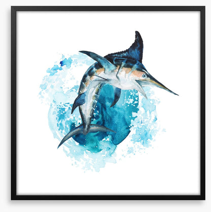 Swordfish splash